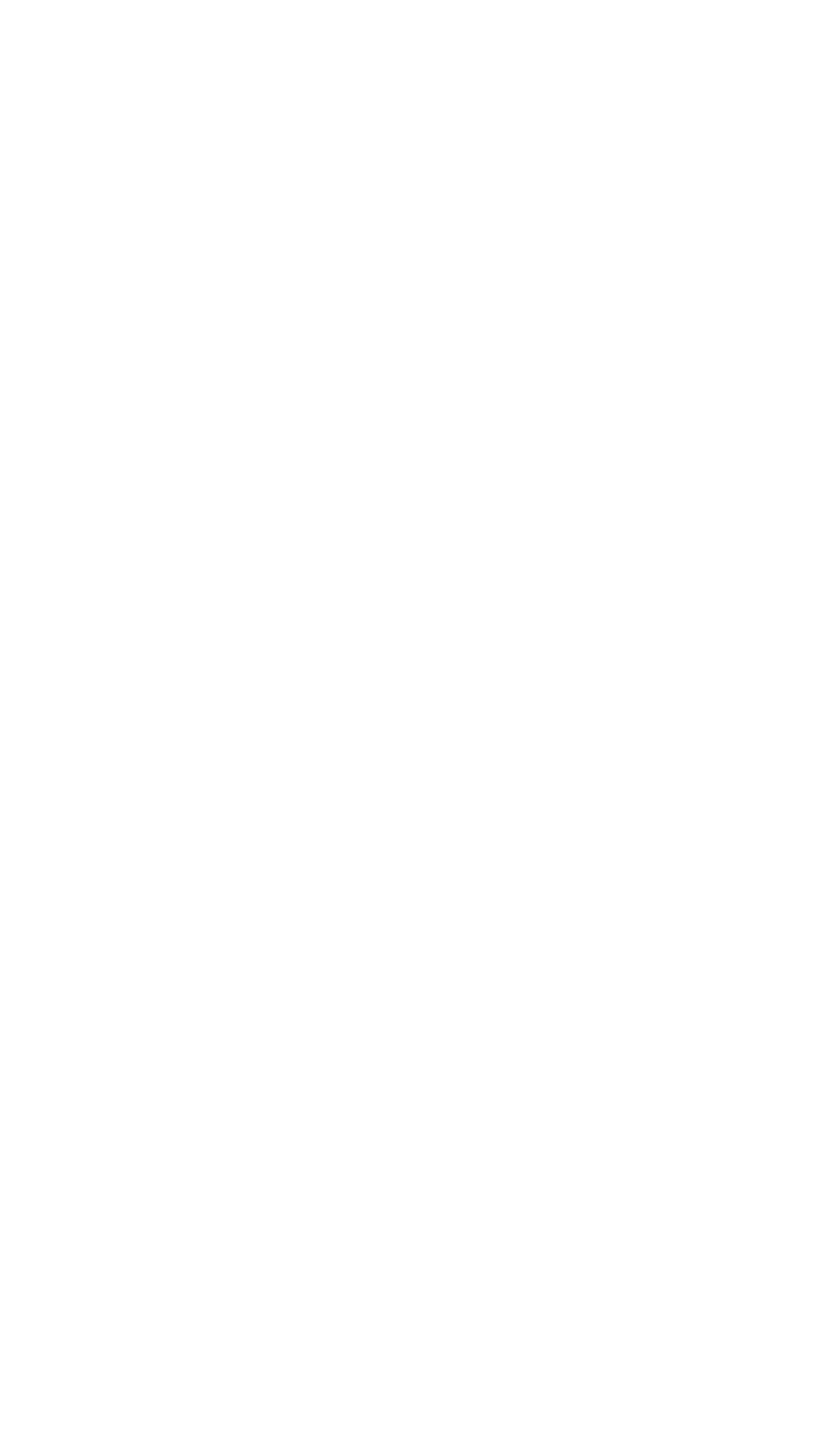 Noblehill Chippy Dumfries arrow